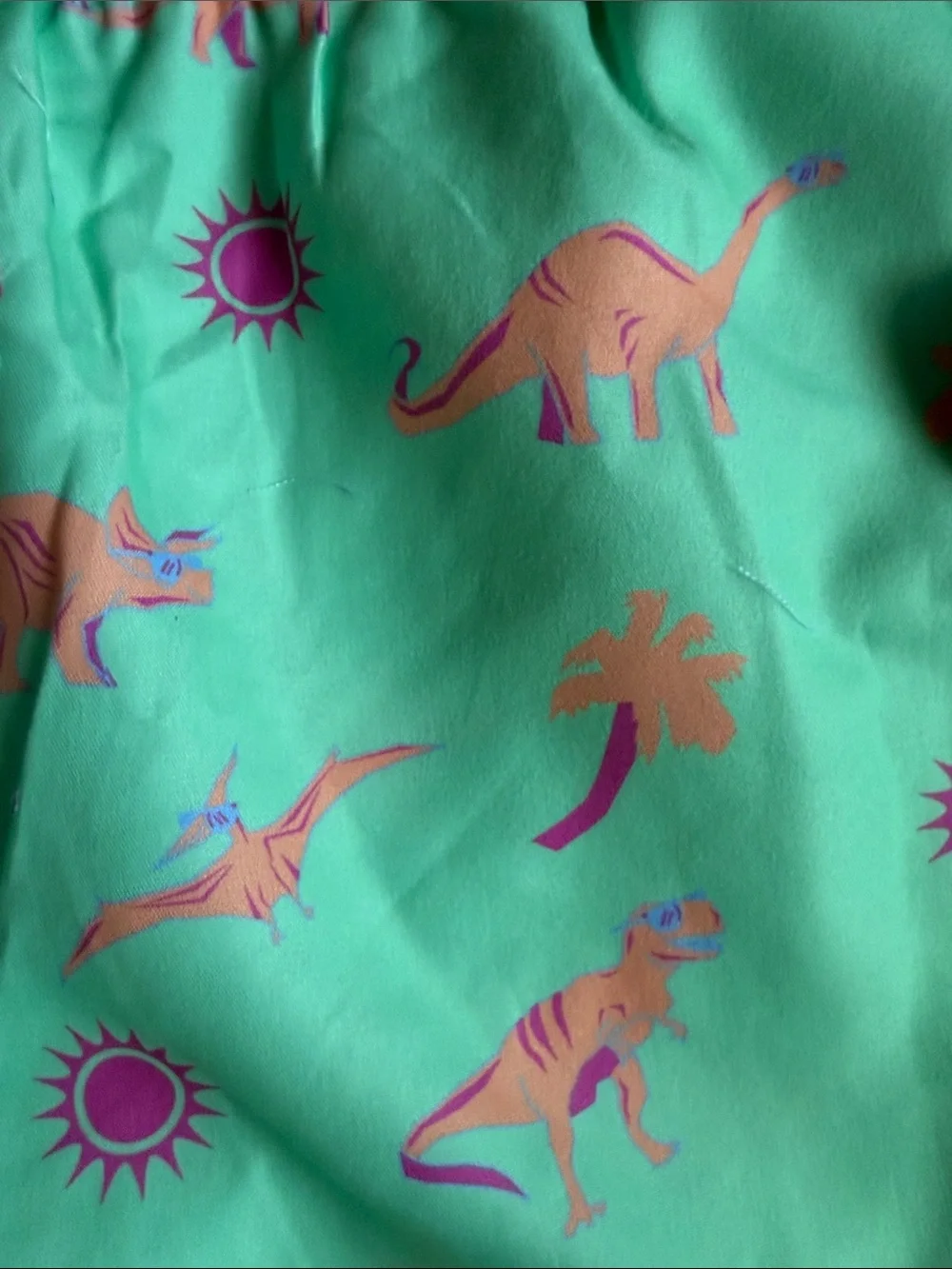 Tipsy Elves Dino Desert Swim Trunks NWT Ret $39.95 Green. Pink, Orange
